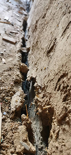 WhatsApp Image 2022-01-02 at 3.50.39 PM (2) h500x